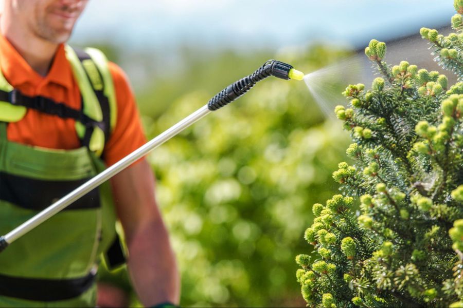 Top 5 insecticidas para plantas - tradecorp